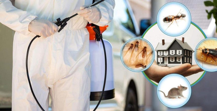 Gülnar Böcek İlaçlama