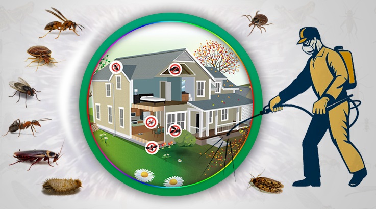 Gülnar Böcek İlaçlama