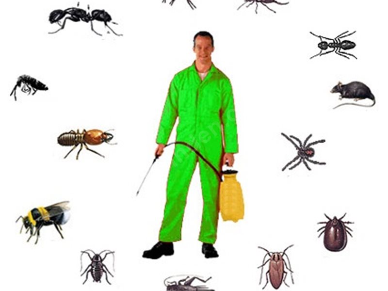 Gülnar Böcek İlaçlama